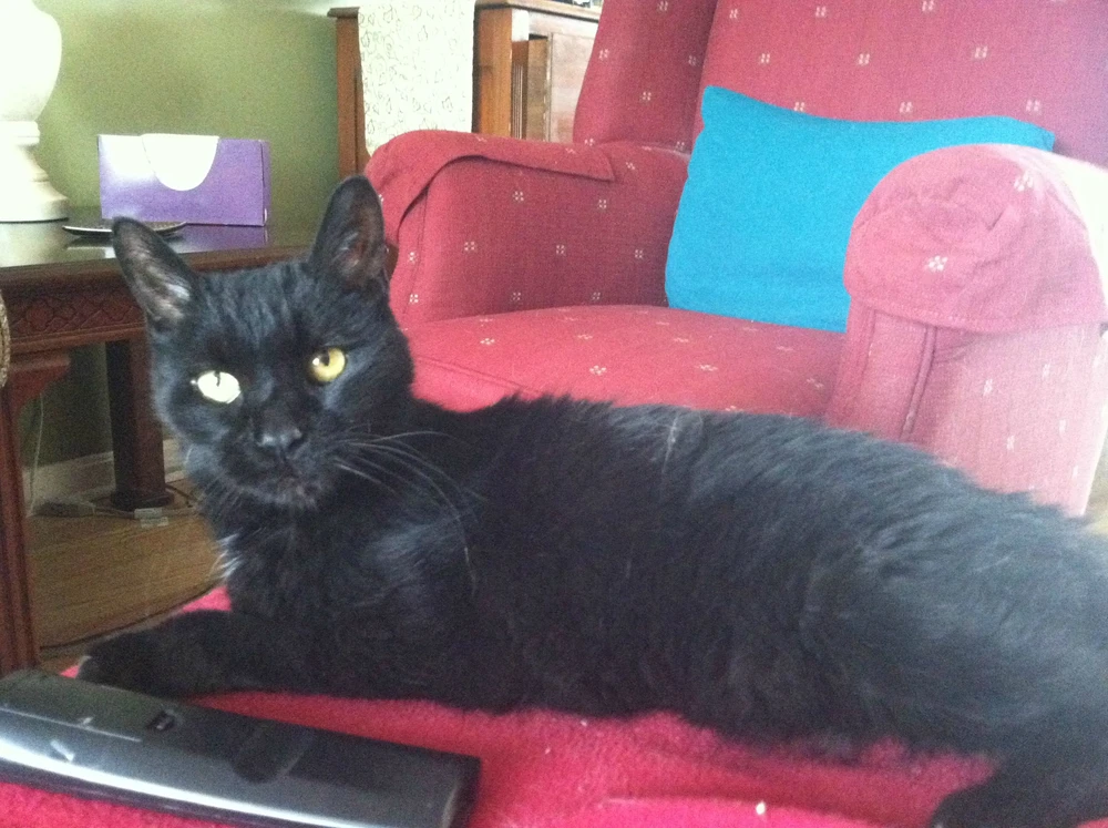 Image uploaded by Eric