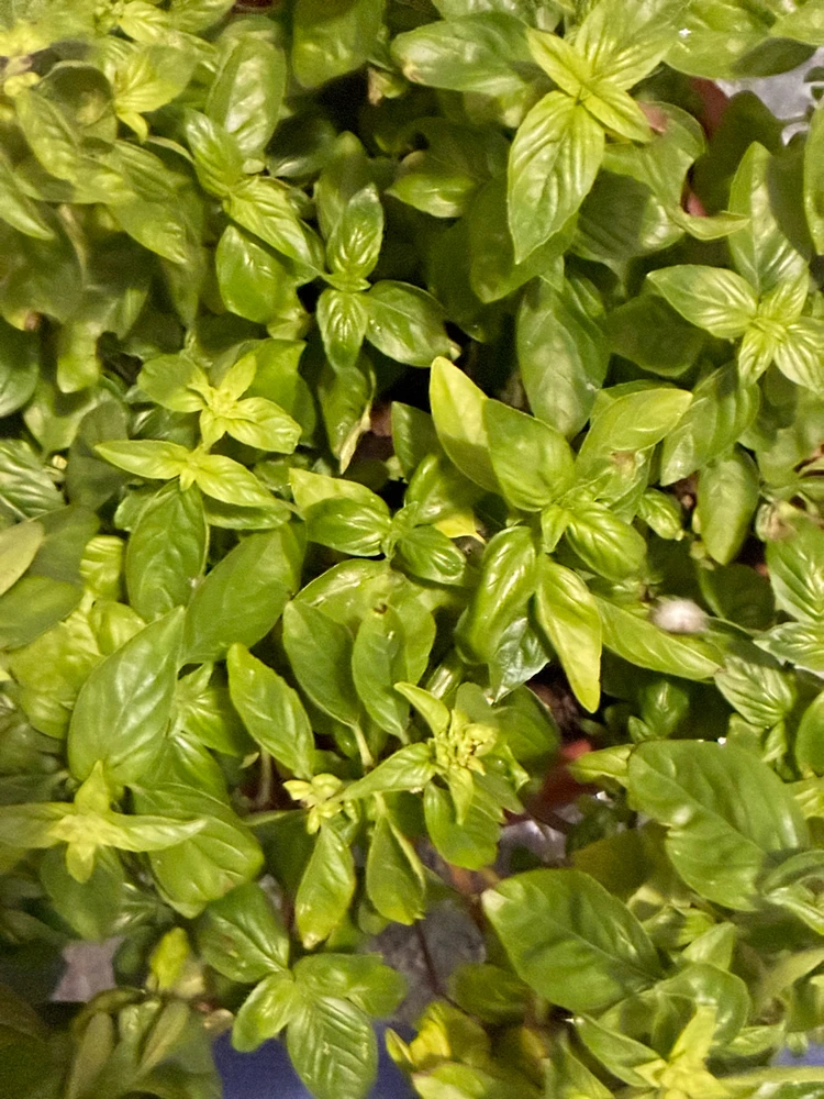 GIF caricata da Susanna