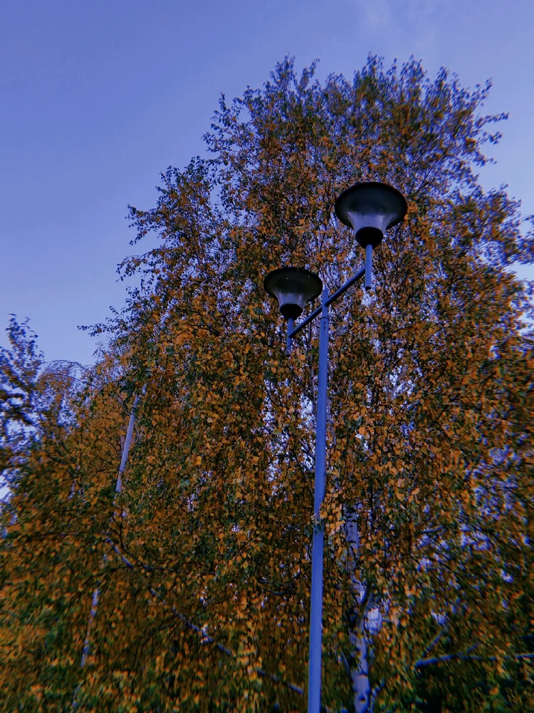 GIF uploaded by Галина ฅ⁠^⁠•⁠ﻌ⁠•⁠^⁠ฅ