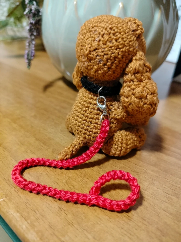 Immagine caricata da Raffaella