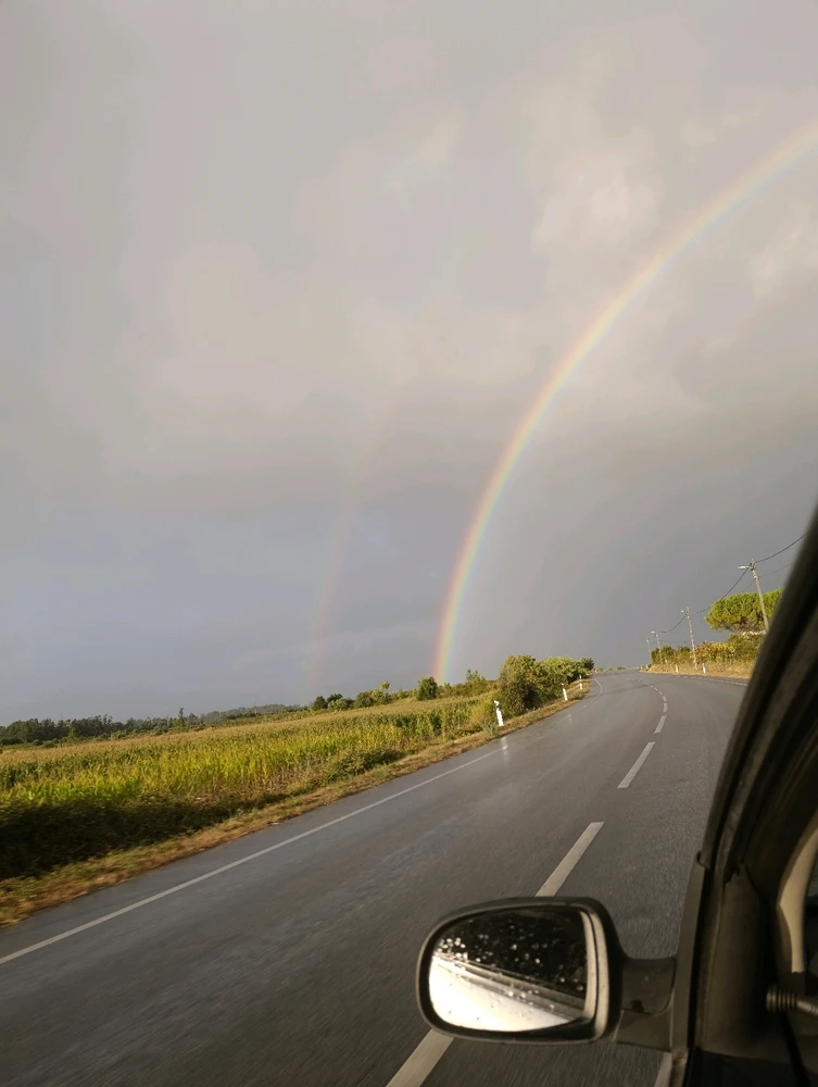 Imagem enviada por Maximo Domador