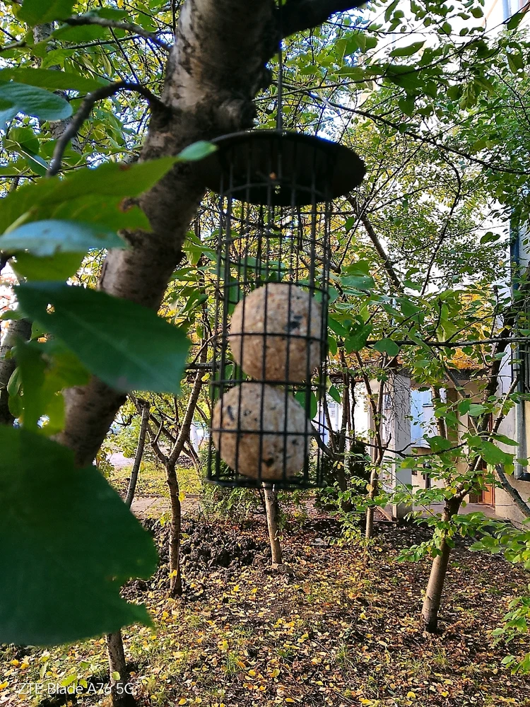 Качено от Geri