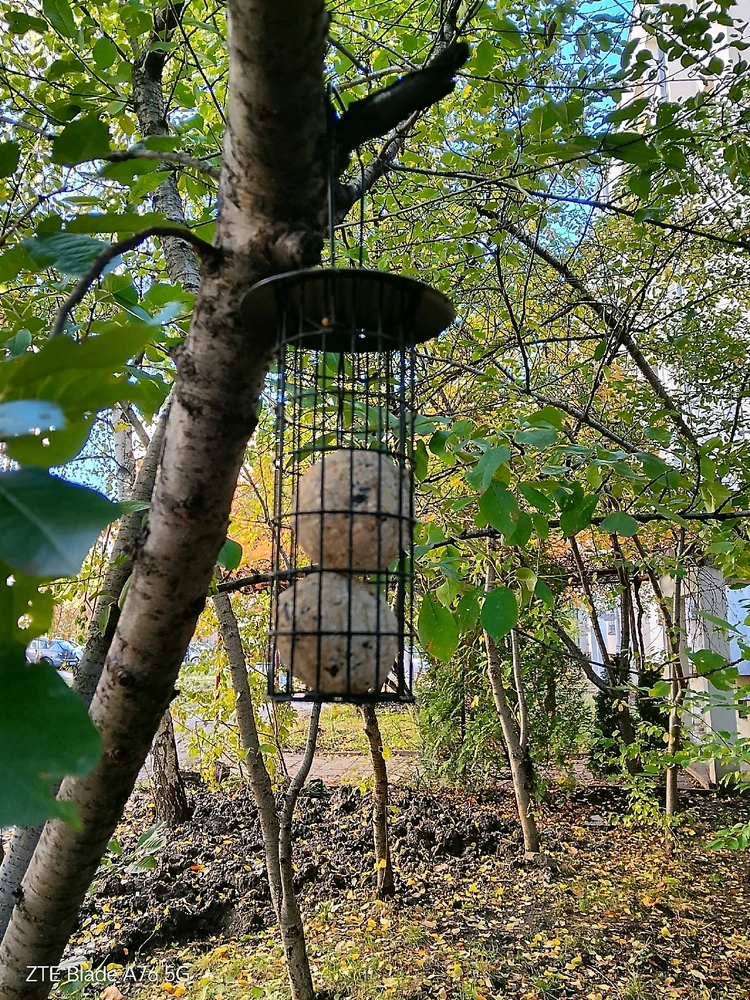 Качено от Geri