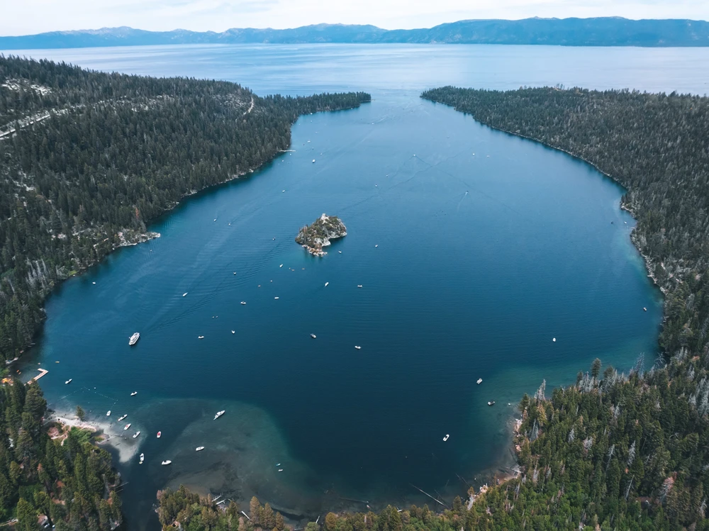 Image uploaded by Carlos