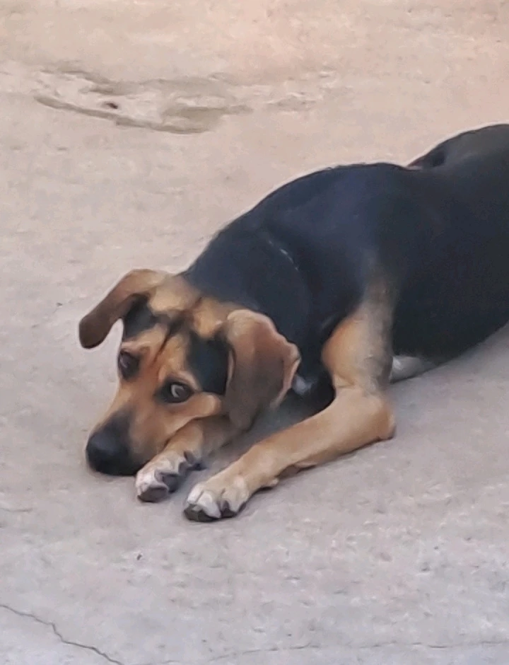 GIF uploaded by Nikolas