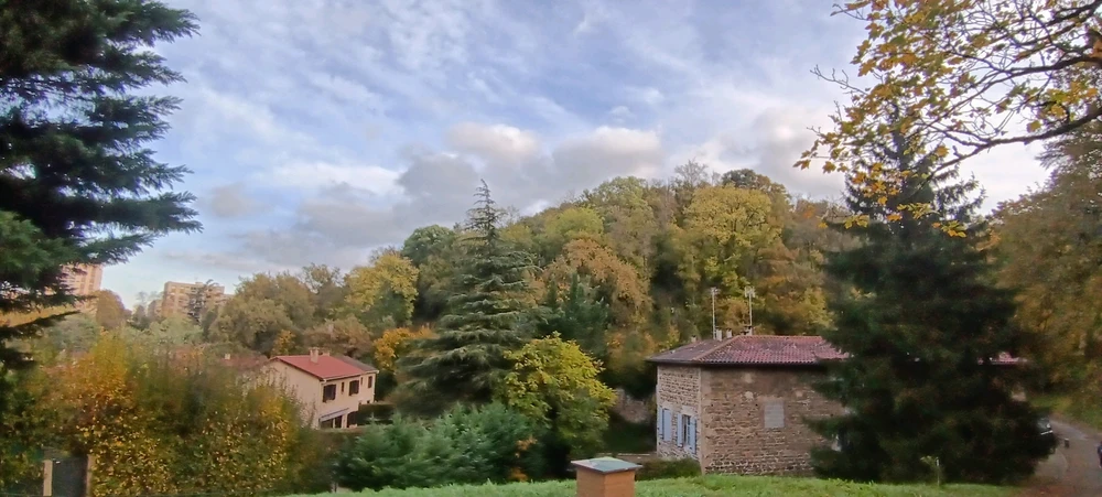 Un coucou du matin 🙋🌸