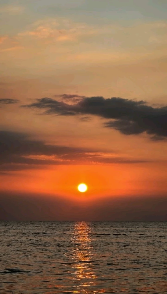 GIF diunggah oleh reii