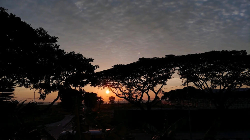 Edward द्वारा अपलोड की गई तस्वीर