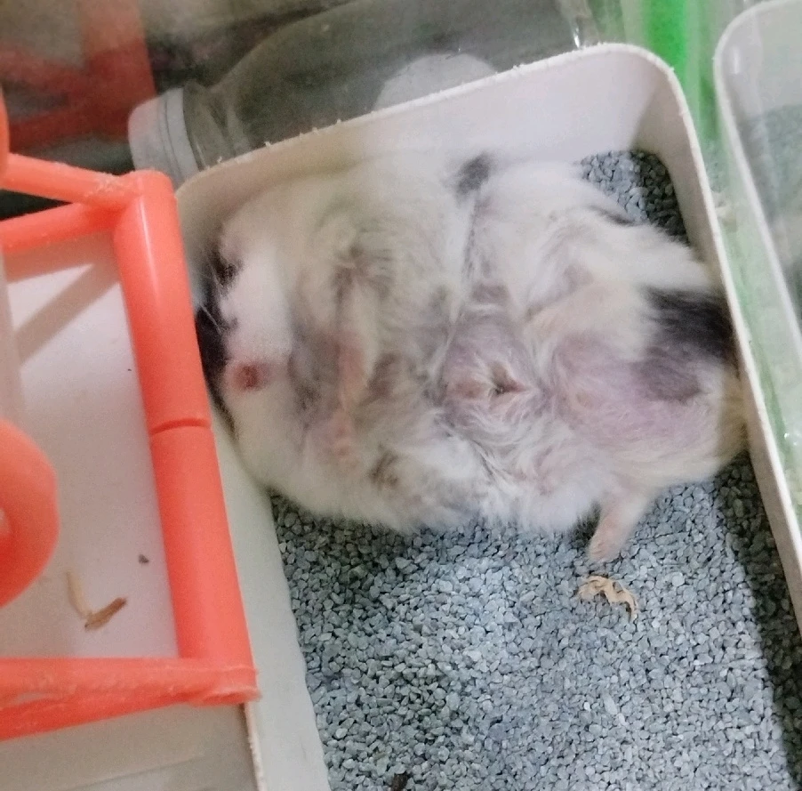 GIF diunggah oleh Jes