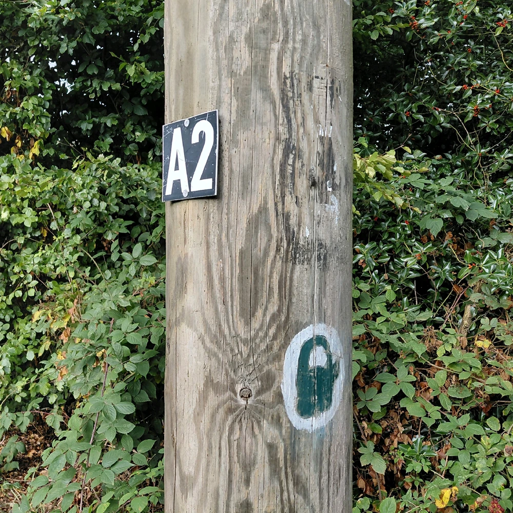 Was man über Wayspots (Pokestop, Arenen, Dynamax) wissen muss!