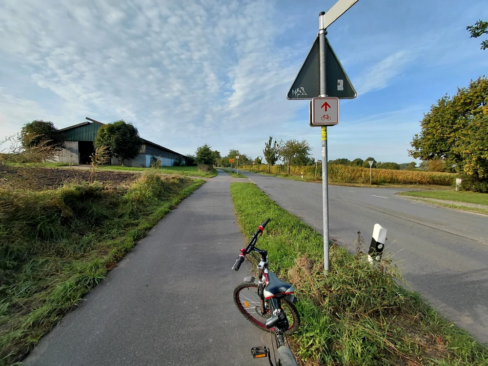 Was man über Wayspots (Pokestop, Arenen, Dynamax) wissen muss!