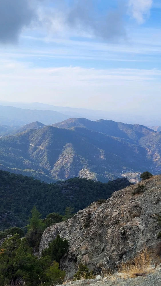 Image uploaded by Joan