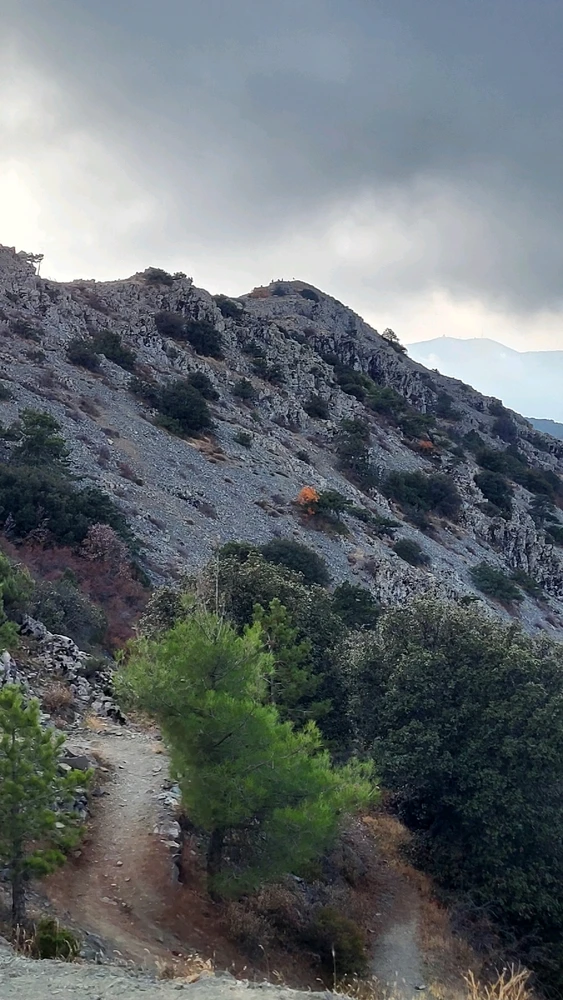 Image uploaded by Joan