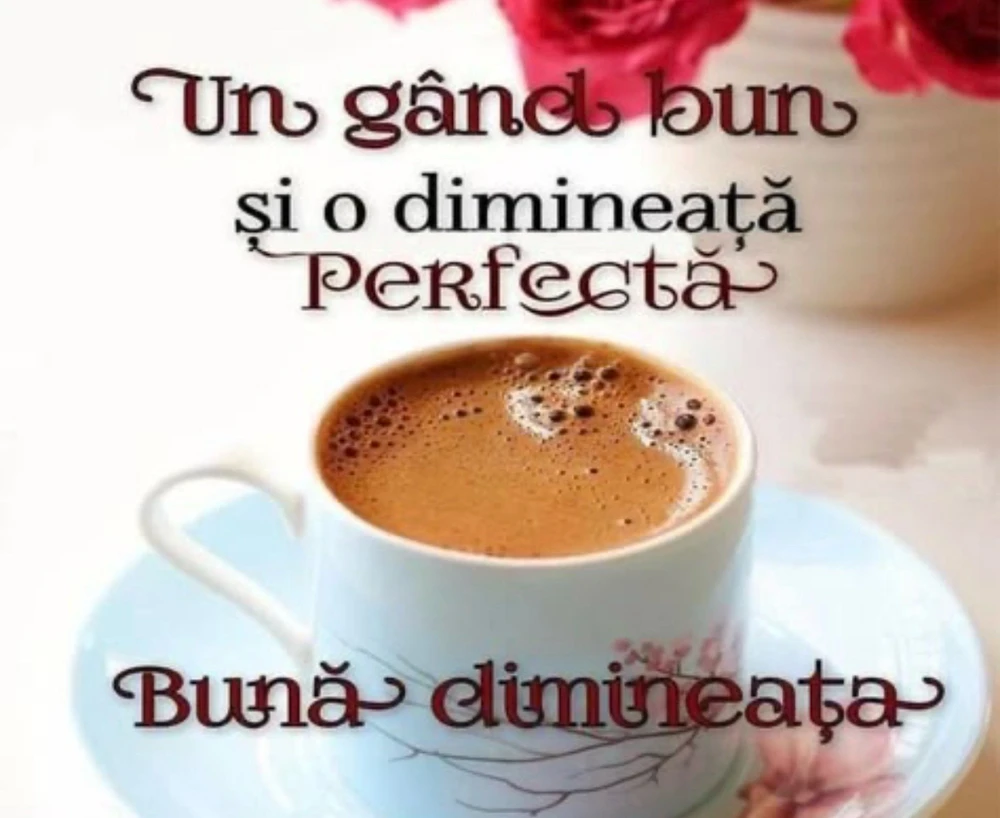 GIF încărcat de Vural