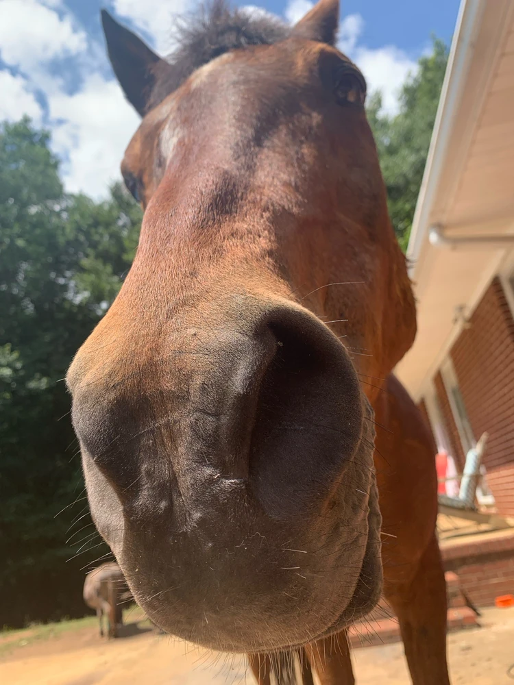 GIF uploaded by Nick