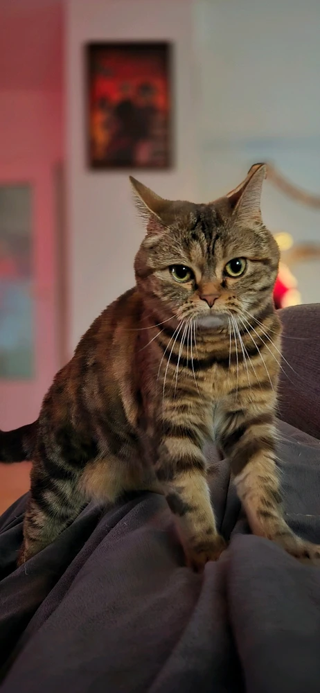 Bild hochgeladen von Jan