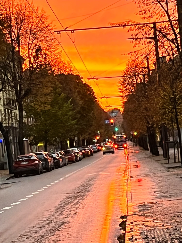 GIF įkėlė Kamilė