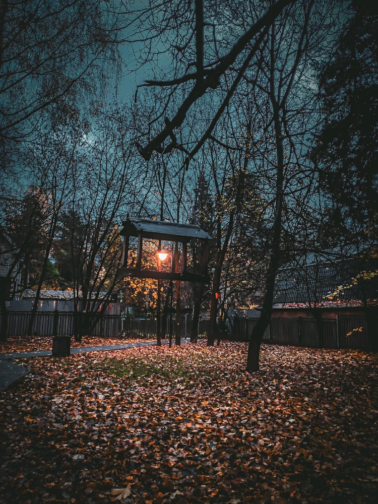 Ближе к ноябрю