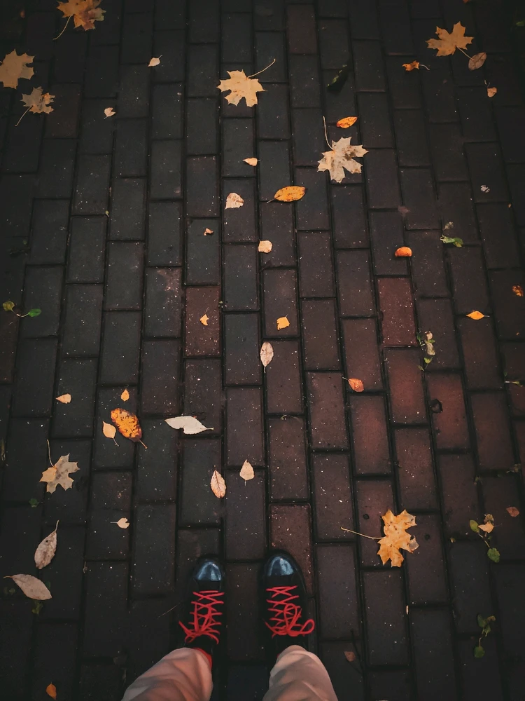 Ближе к ноябрю