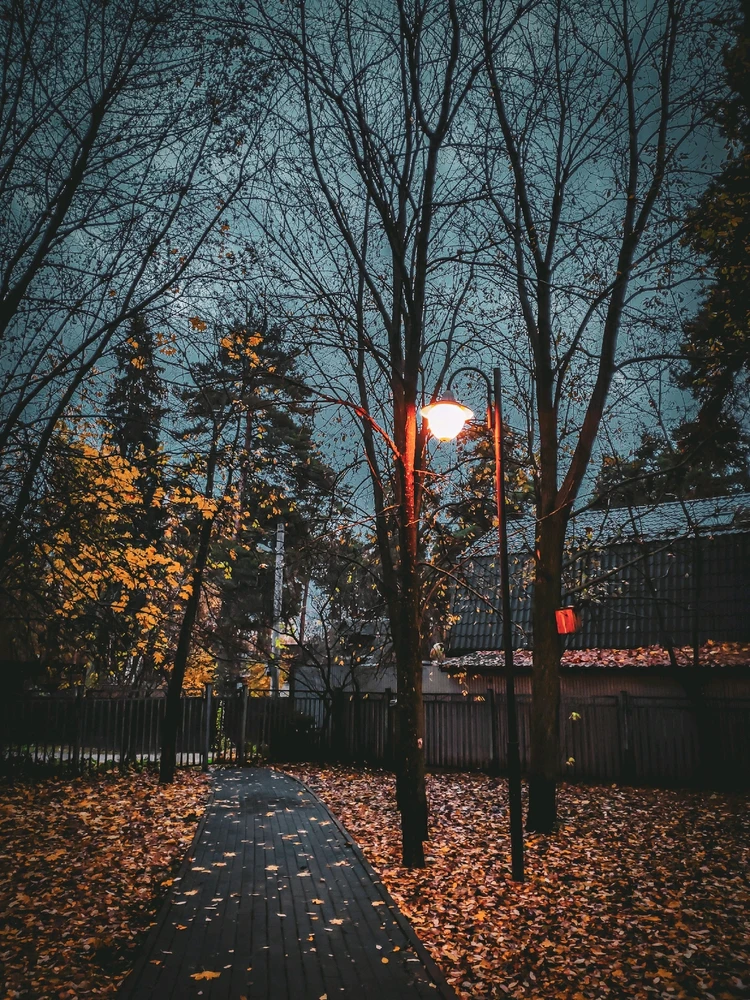 Ближе к ноябрю