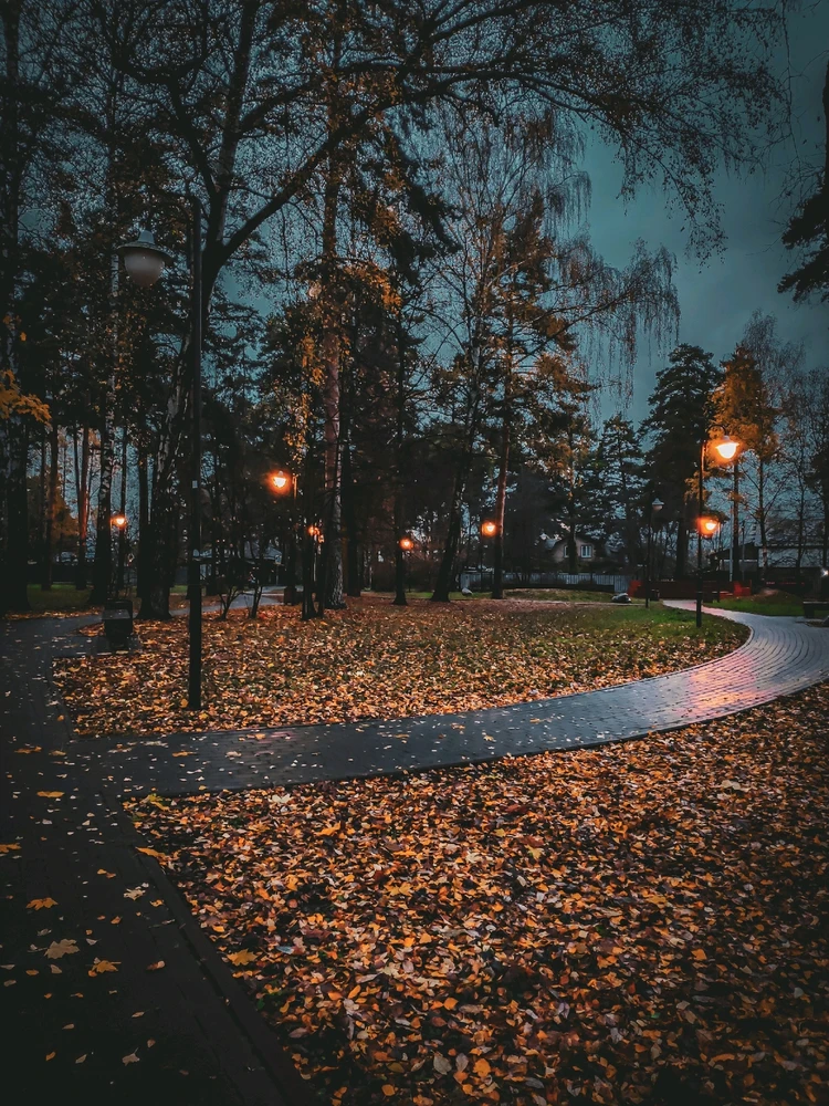 Ближе к ноябрю