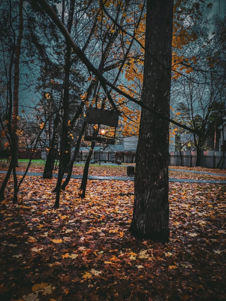 Ближе к ноябрю