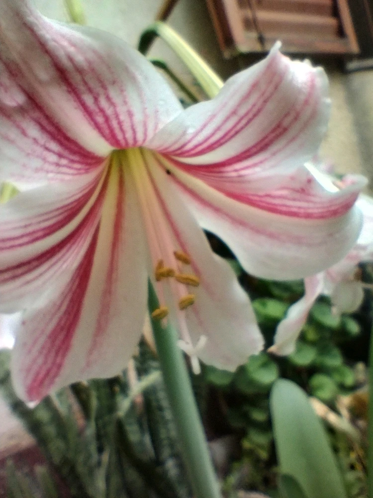Image uploaded by Aby
