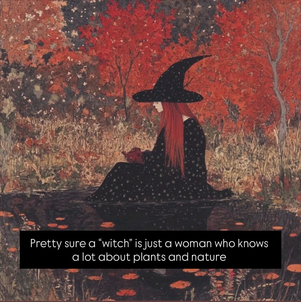 Image uploaded by Peter