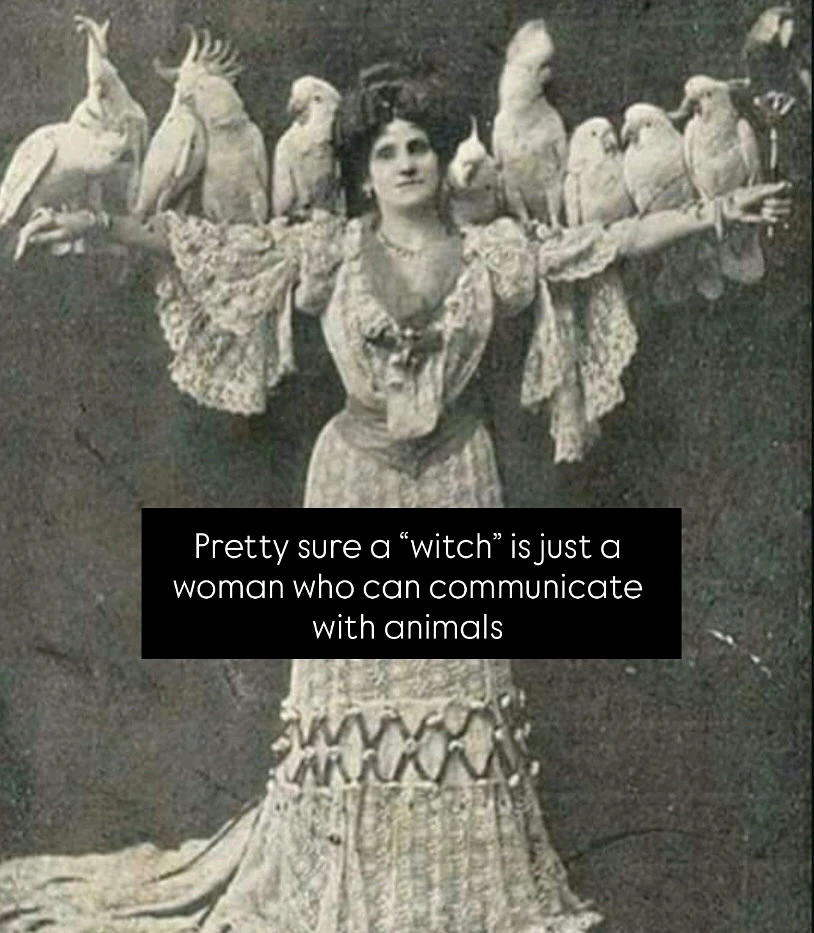 Image uploaded by Peter