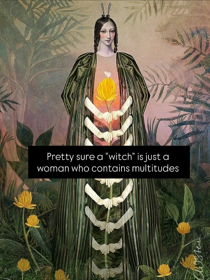 Image uploaded by Peter