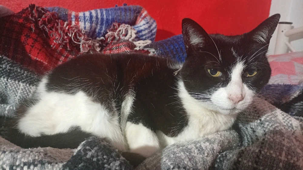 GIF subido por Brenda Tatiana