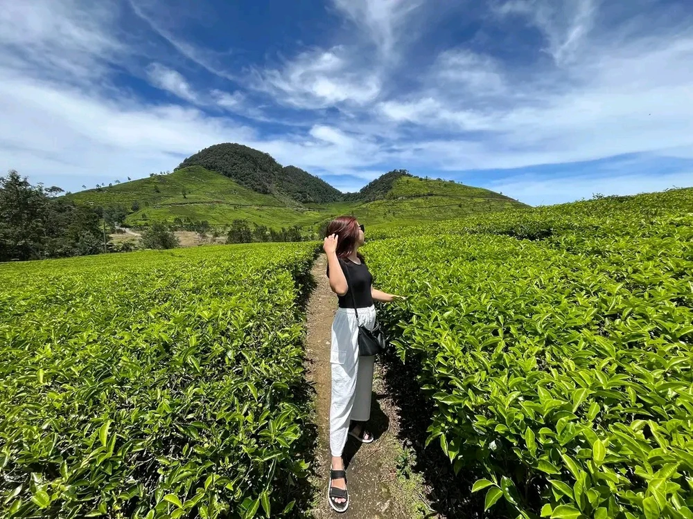 Image uploaded by Novia Putrie