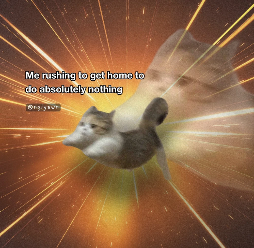 Obrázek nahrál Irónia