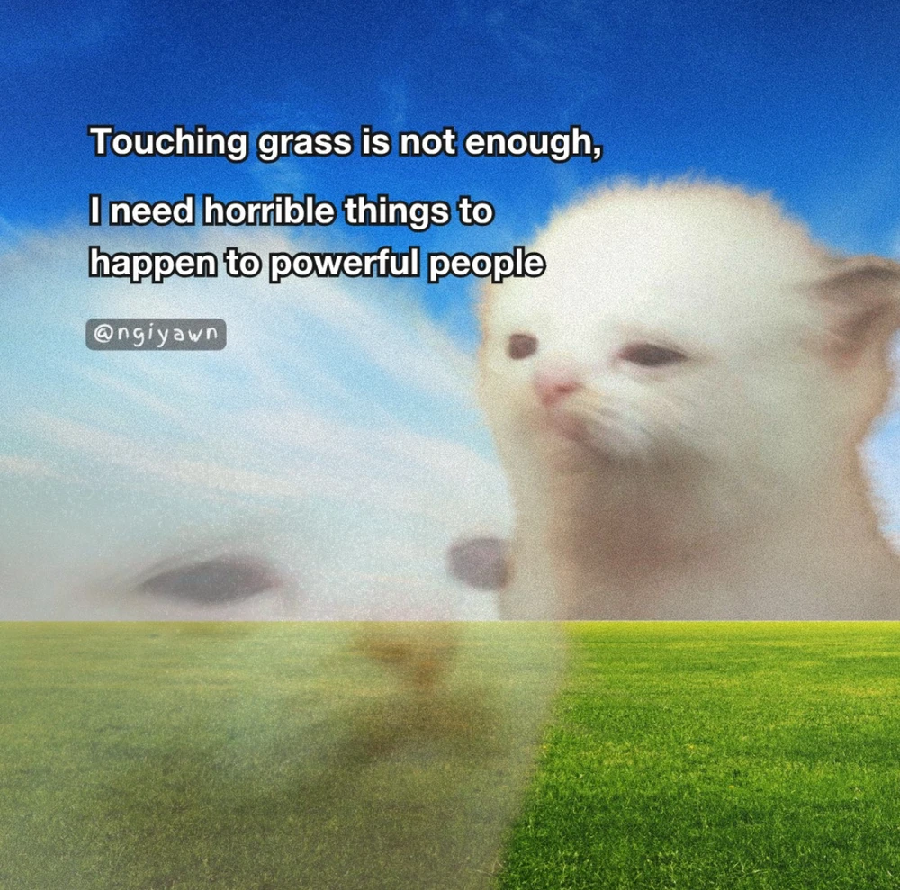 Obrázek nahrál Irónia