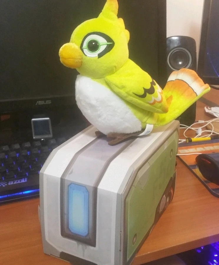 Image uploaded by Steven