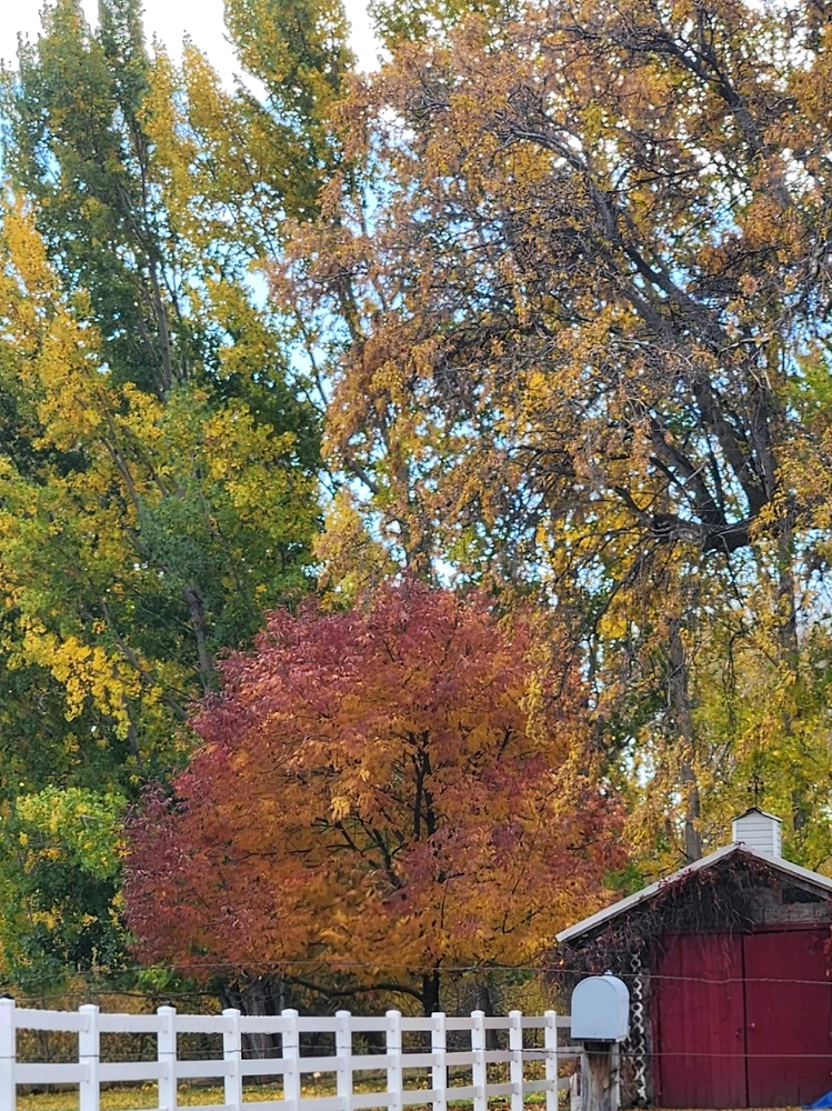 GIF uploaded by Autumn