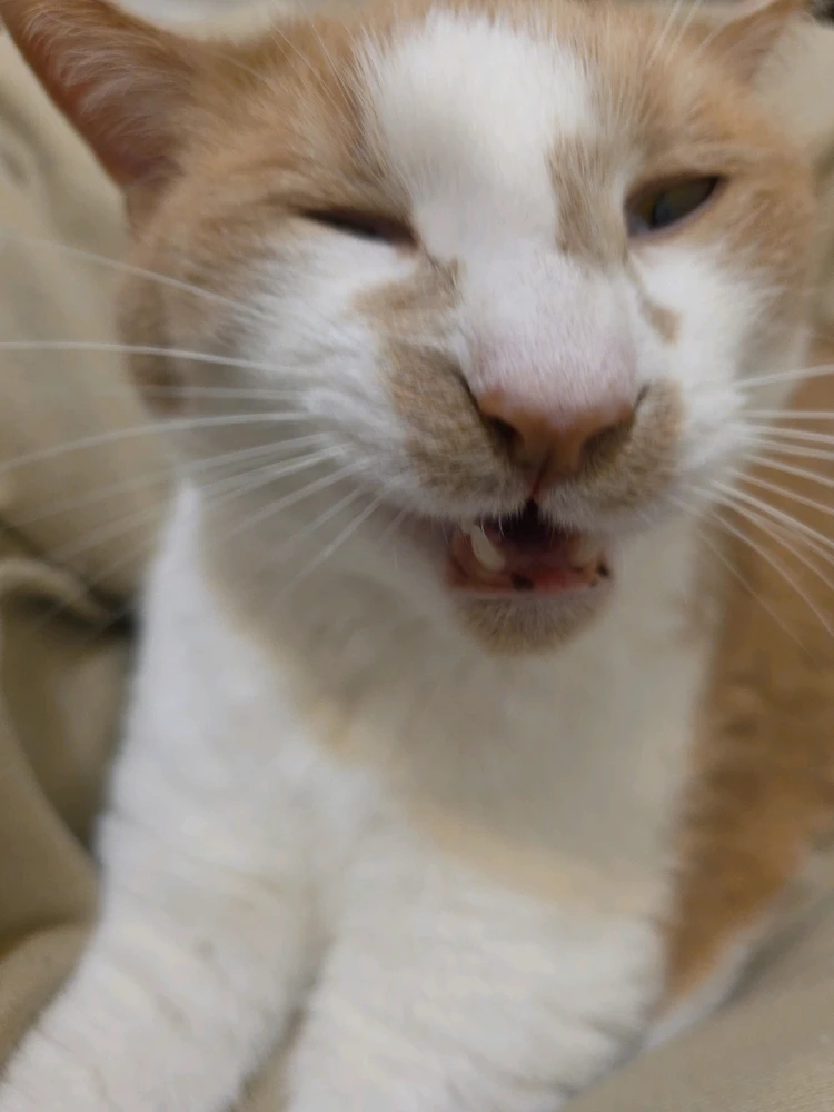 GIF uploaded by Jacob