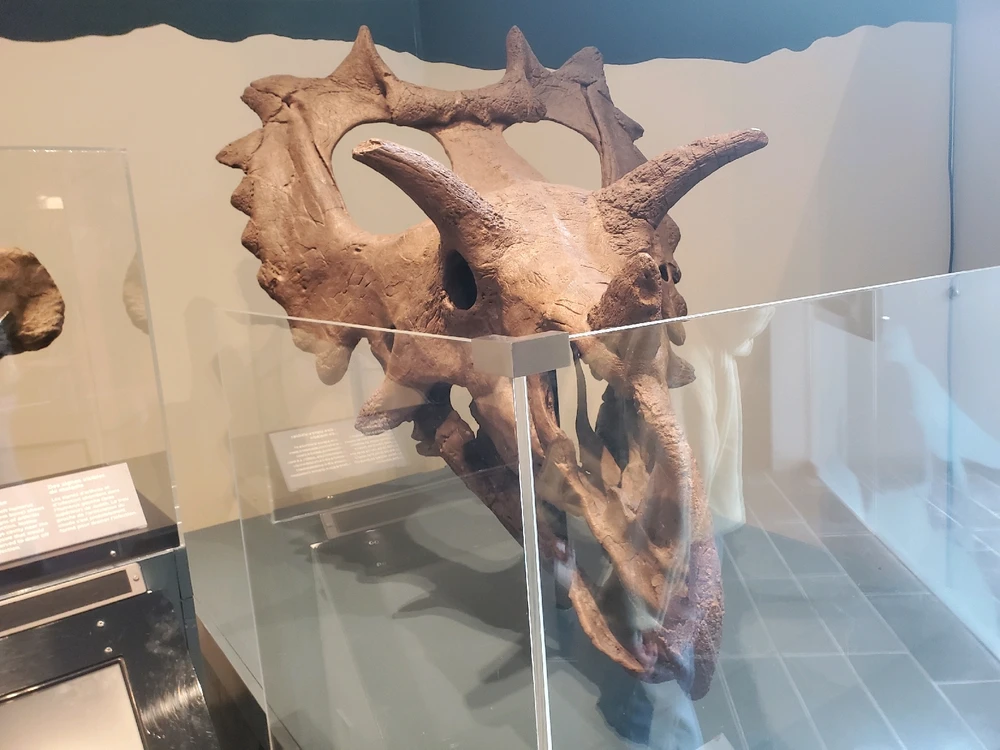 Went to Ottawa - great collection of museums!