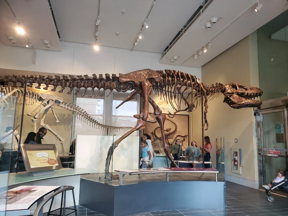 Went to Ottawa - great collection of museums!