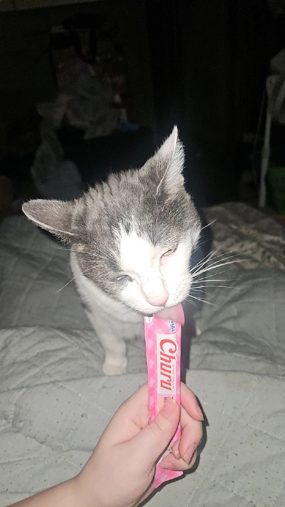 GIF uploaded by Lily