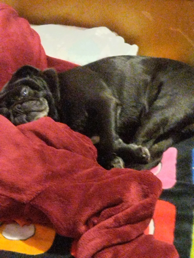 ¿Envidia? Sí, mucha