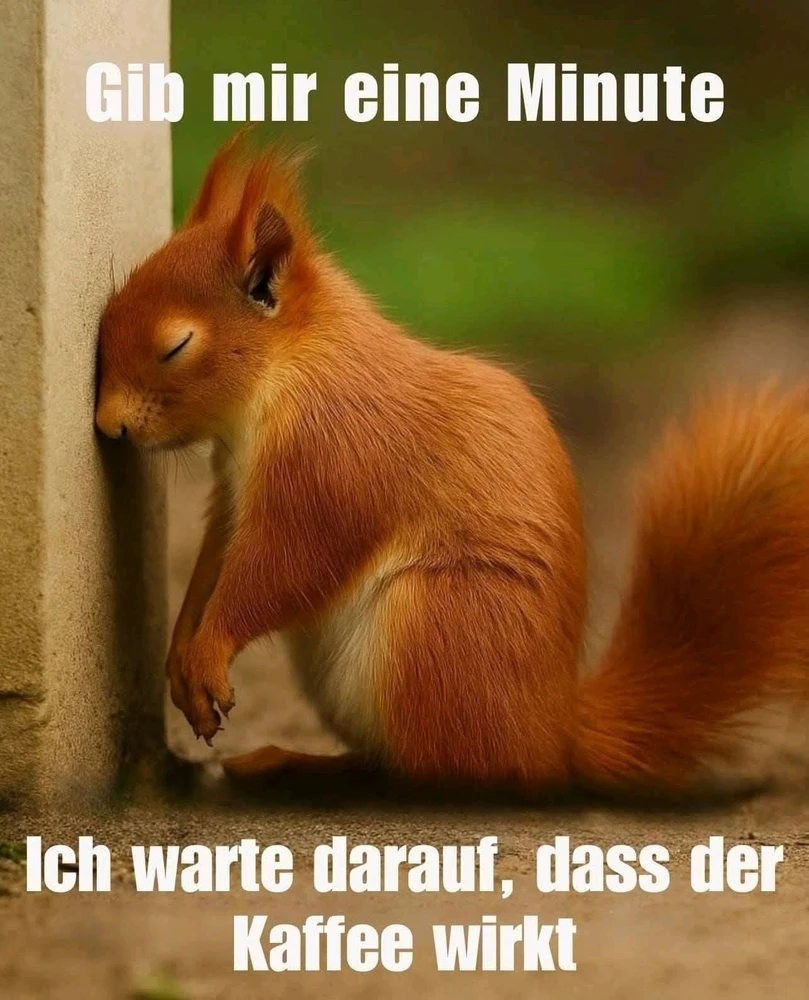 GIF hochgeladen von Ralf