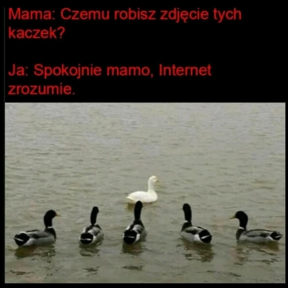 GIF dodany przez Bartek