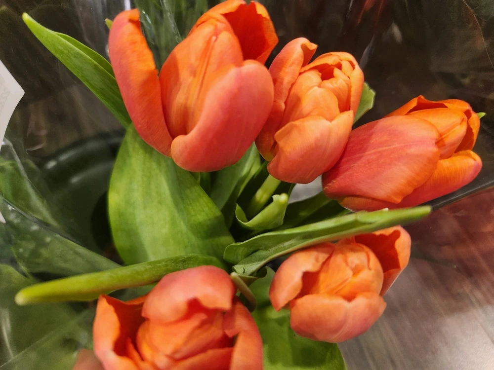 Don't get caught up in the
negative worries, always focus
on the positive little things...
Never waste your time, especially 
with something not worthwhile...

🌷🧡🌷💛🌷🧡🌷💛🌷🧡🌷💛🌷🧡