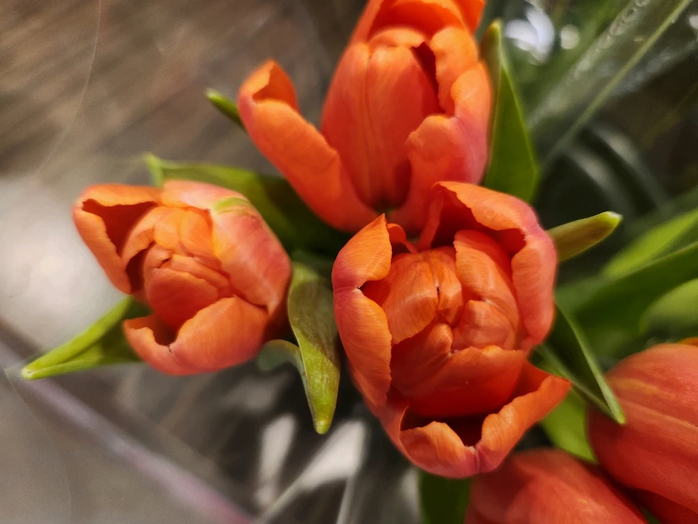 Don't get caught up in the
negative worries, always focus
on the positive little things...
Never waste your time, especially 
with something not worthwhile...

🌷🧡🌷💛🌷🧡🌷💛🌷🧡🌷💛🌷🧡