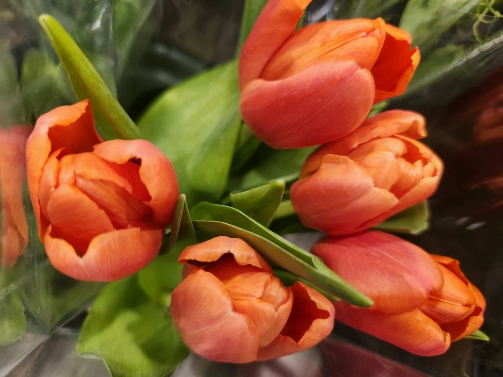 Don't get caught up in the
negative worries, always focus
on the positive little things...
Never waste your time, especially 
with something not worthwhile...

🌷🧡🌷💛🌷🧡🌷💛🌷🧡🌷💛🌷🧡