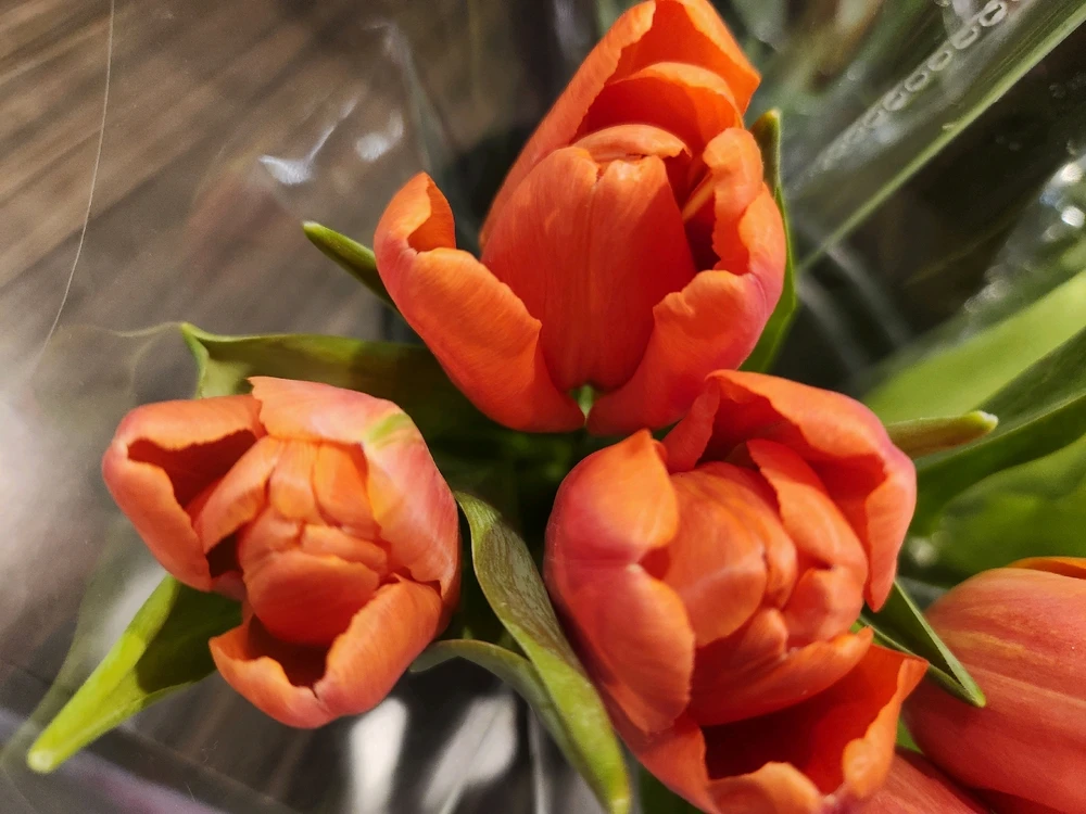 Don't get caught up in the
negative worries, always focus
on the positive little things...
Never waste your time, especially 
with something not worthwhile...

🌷🧡🌷💛🌷🧡🌷💛🌷🧡🌷💛🌷🧡