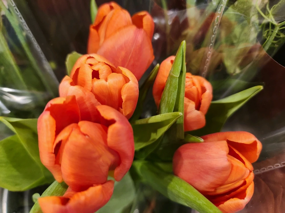 Don't get caught up in the
negative worries, always focus
on the positive little things...
Never waste your time, especially 
with something not worthwhile...

🌷🧡🌷💛🌷🧡🌷💛🌷🧡🌷💛🌷🧡