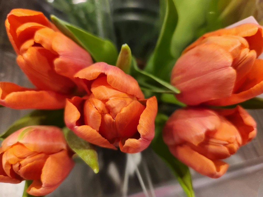 Don't get caught up in the
negative worries, always focus
on the positive little things...
Never waste your time, especially 
with something not worthwhile...

🌷🧡🌷💛🌷🧡🌷💛🌷🧡🌷💛🌷🧡