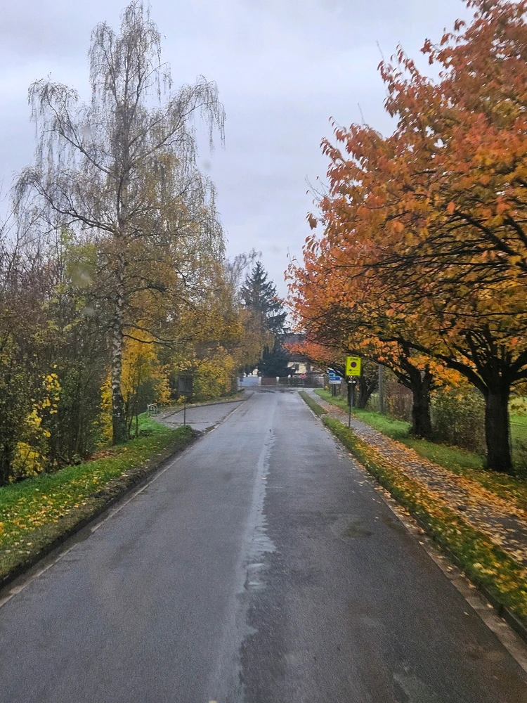 GIF tso los ntawm Igor Kailer